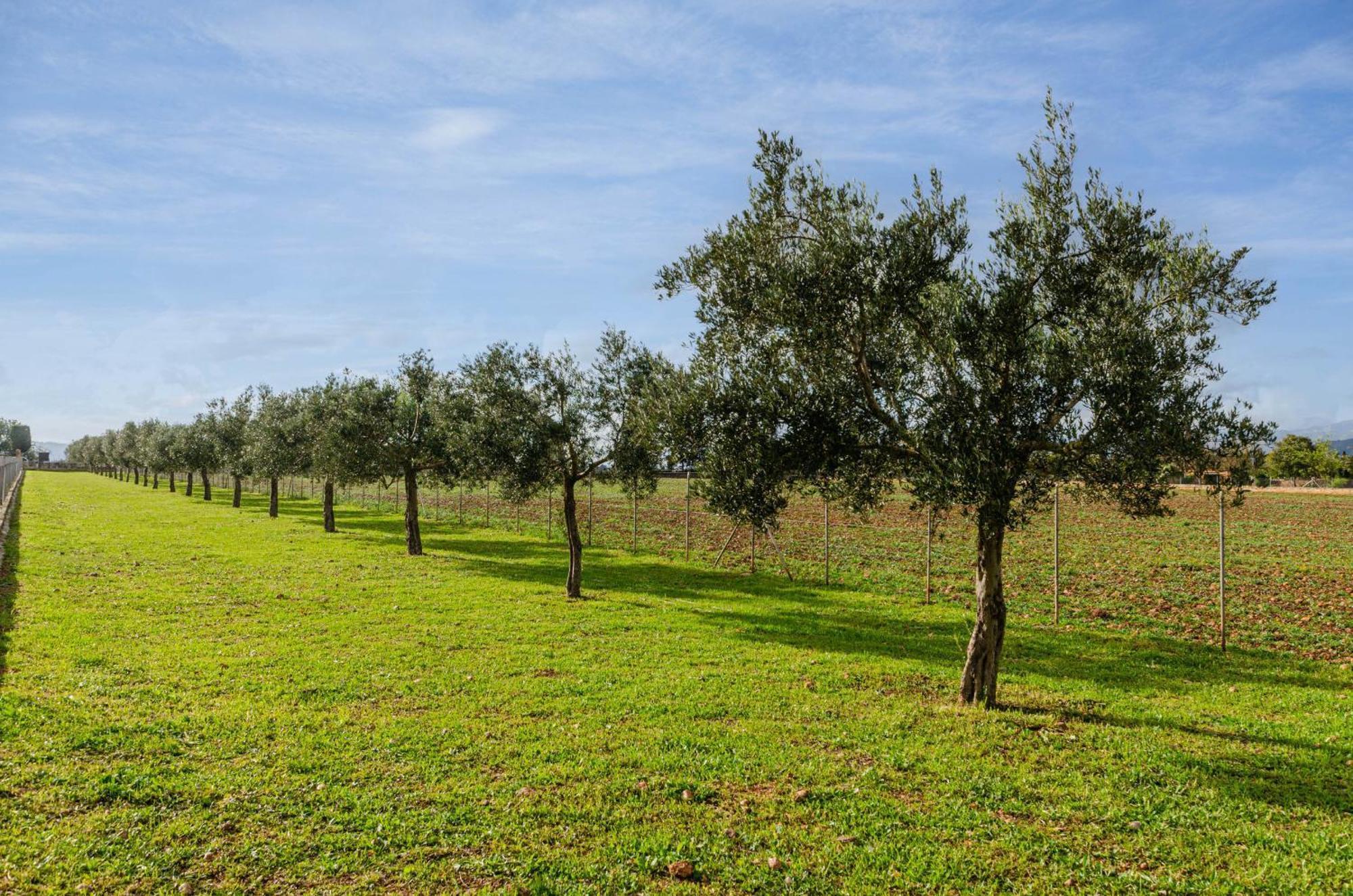 Villa Yourhouse Grau Petit Sencelles